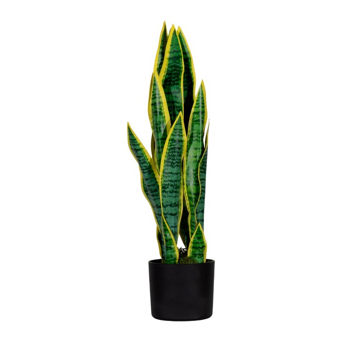 meet powered by PAPERFLOW SANSEVIERIA Kunstpflanze 65,0 cm