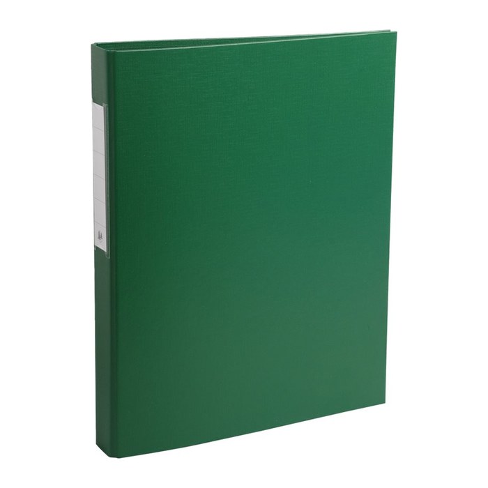 Exacompta Ringbuch 2-Ringe grün 4,0 cm DIN A4, 1 St.
