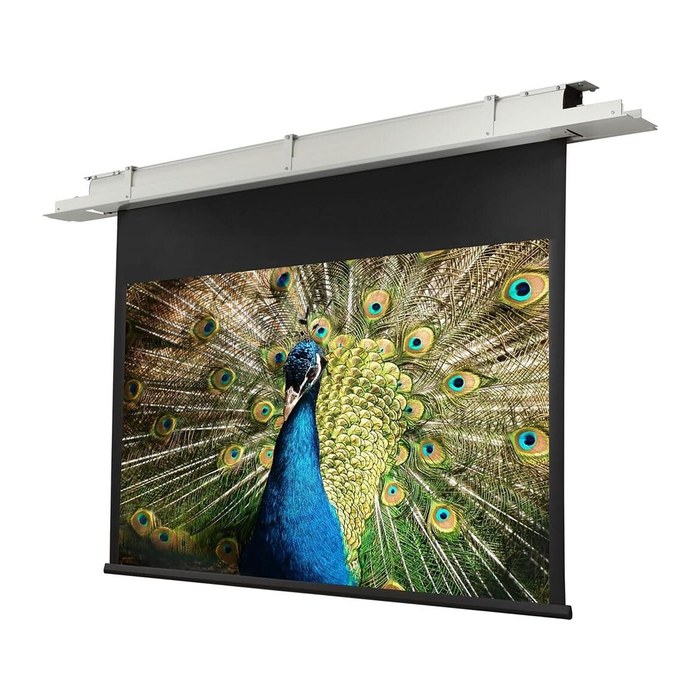 celexon Deckeneinbau-Leinwand Motor Expert 16:10, 300 x 187 cm Projektionsfläche
