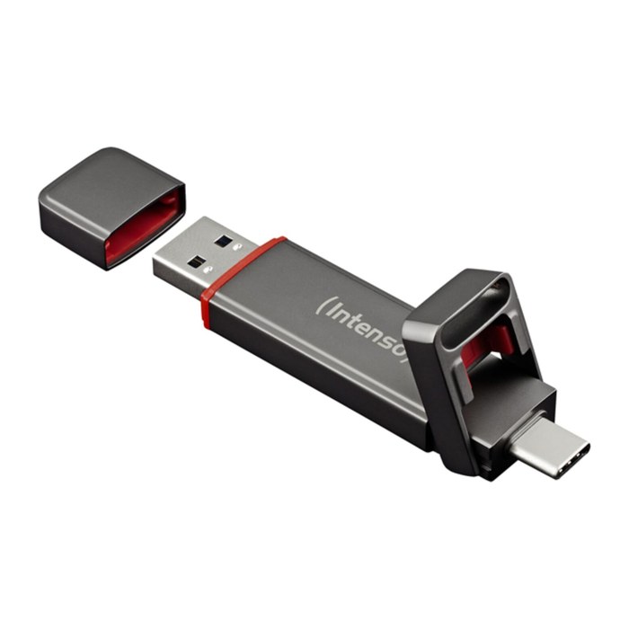 Intenso SSD-USB-Speicher UX100 anthrazit 250 GB, 1 St.