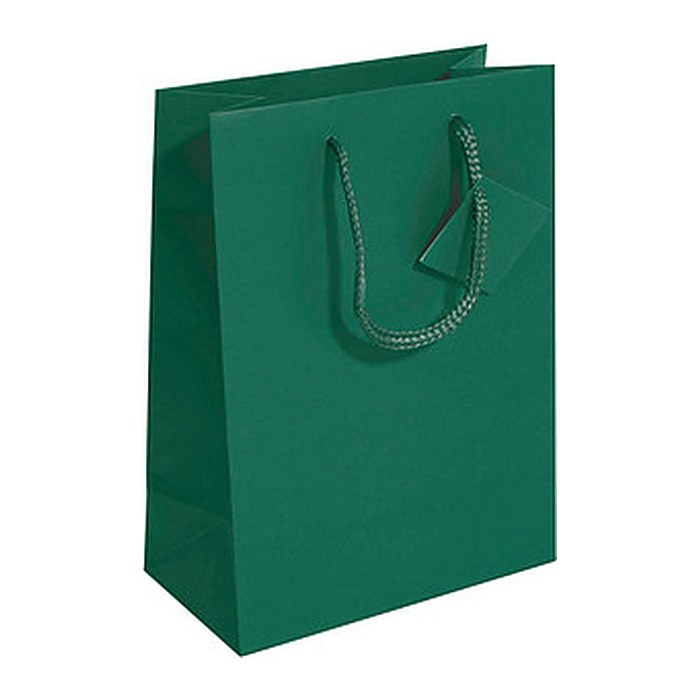 SIGEL Geschenktüten grün 17,0 x 23,0 cm, 5 St.