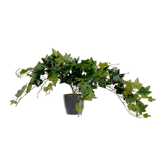 meet powered by PAPERFLOW EFEU Kunstpflanze 80,0 cm