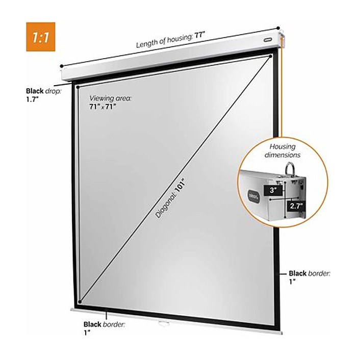 celexon Rolloleinwand Professional Plus 1:1, 180 x 180 cm Projektionsfläche