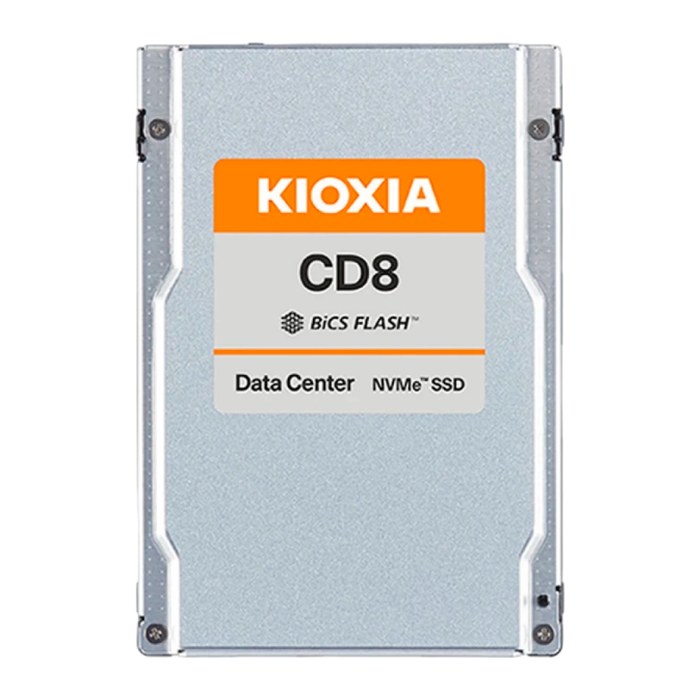 Kioxia SSD 3.84TB CD8-R Series 2,5" PCIe4.0 x4 256MB