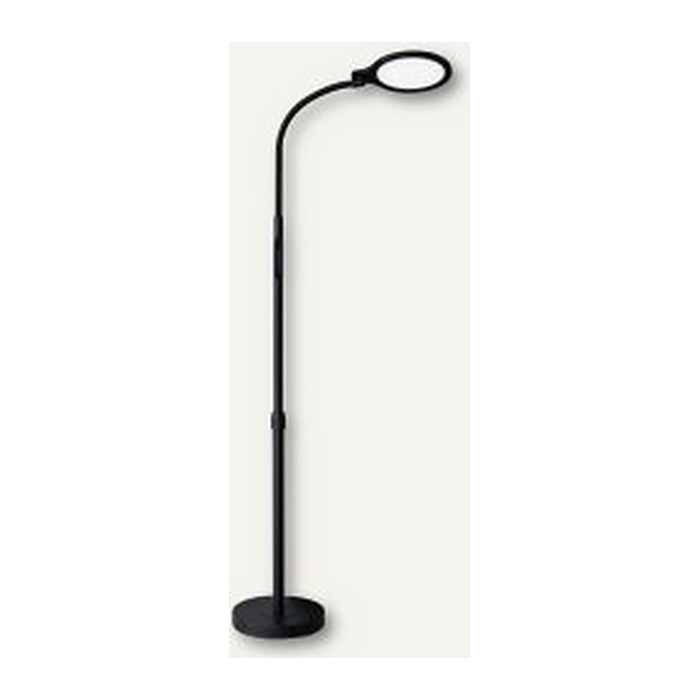 Hansa Atria LED Stehlampe schwarz 12 W