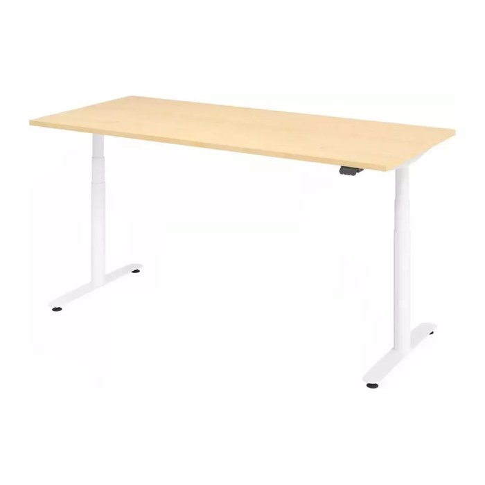 HAMMERBACHER VXDLR19 elektrisch höhenverstellbarer Schreibtisch ahorn rechteckig, T-Fuß-Gestell weiß 180,0 x 80,0 cm