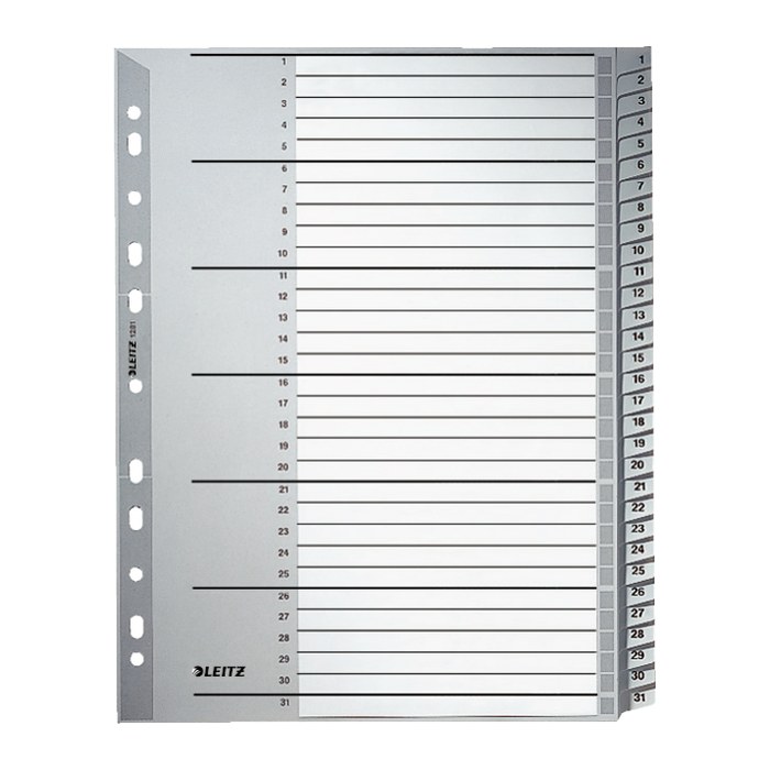LEITZ Ordnerregister 1281 DIN A4 Vollformat, Überbreite 1-31 grau 31-teilig, 1 Satz