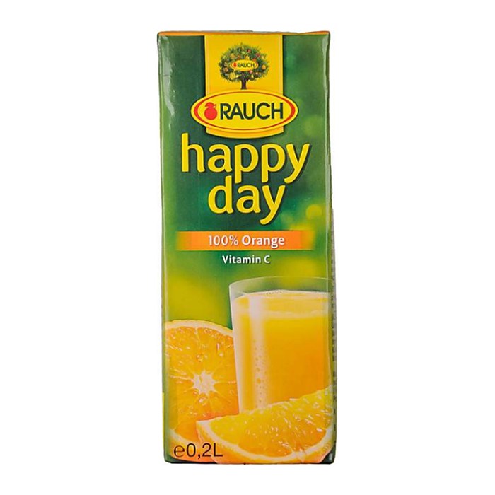 happy day Orangensaft Fruchtsaftkonzentrat 27x 0,2 l
