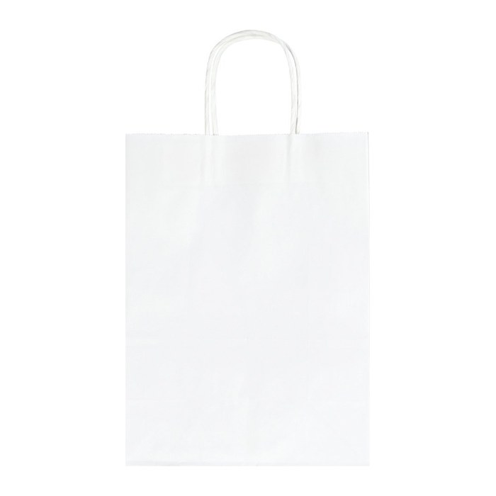 folia Papier-Tragetaschen L braun 24,0 x 31,0 cm, 20 St.