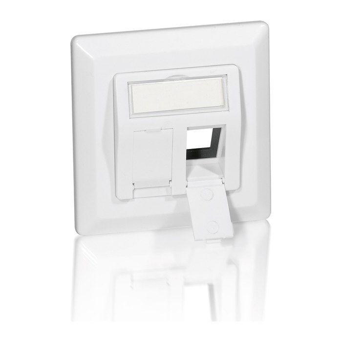 Equip Frontplatte 2xKeystone Jack 45° RAL9010 Polybeutel