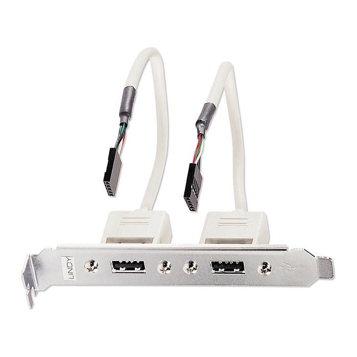 LINDY Slotblech USB Adapter 2x USB TYP A 5 IDC-Kupplung 0.2m