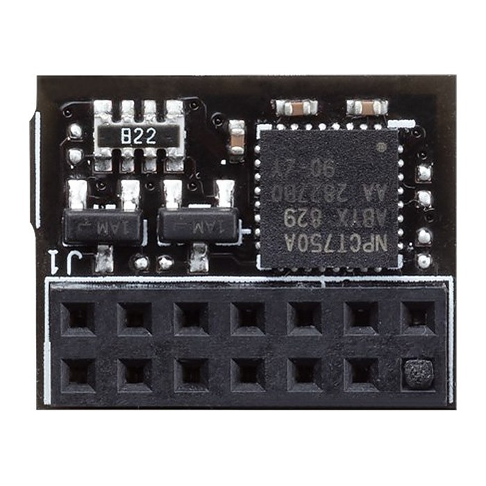 ASUS TPM-SPI bulk