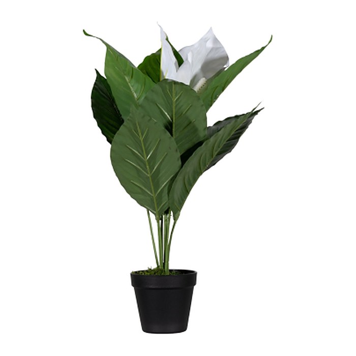 meet powered by PAPERFLOW EINBLATT Kunstpflanze 55,0 cm