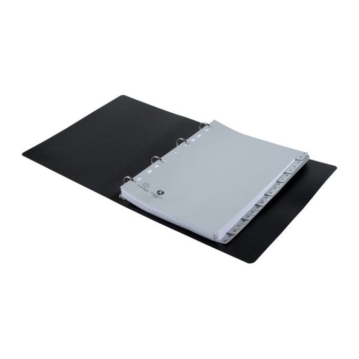 Exacompta Ordnerregister DIN A4 Vollformat 1-20 grau 20-teilig, 1 Satz