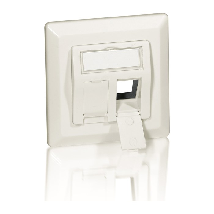Equip Frontplatte 2xKeystone Jack 45° 5Stk RAL1013 Polybeutel