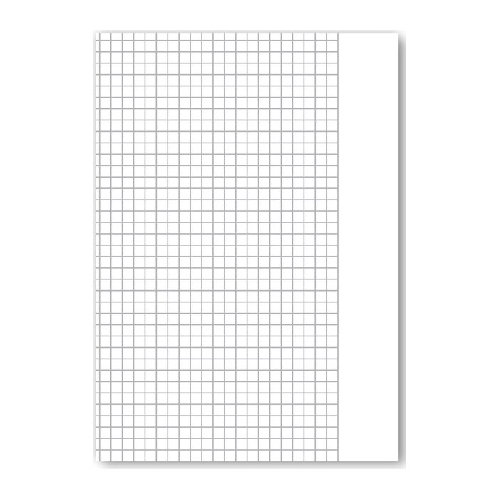 Staufen® Schulhefte Lineatur 10 kariert DIN A5 Außenrand, 16 Blatt, 10 St.