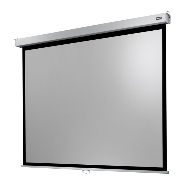 celexon Rolloleinwand Professional Plus 4:3, 240 x 180 cm Projektionsfläche