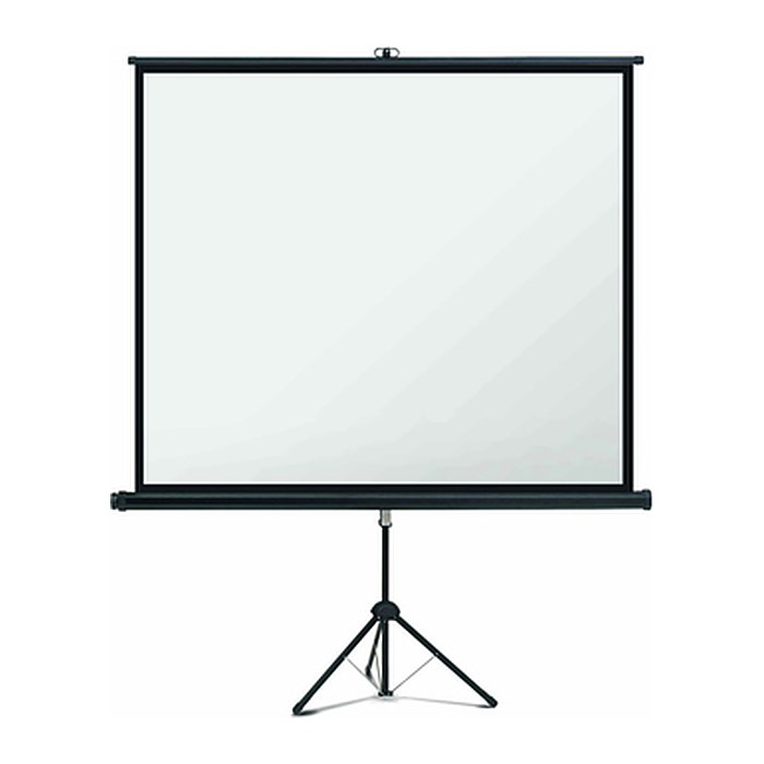 magnetoplan Stativleinwand 202501937 4:3, 244 x 183 cm Projektionsfläche