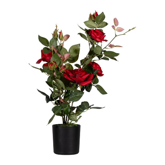 meet powered by PAPERFLOW ROSENSTOCK Kunstpflanze 54,0 cm