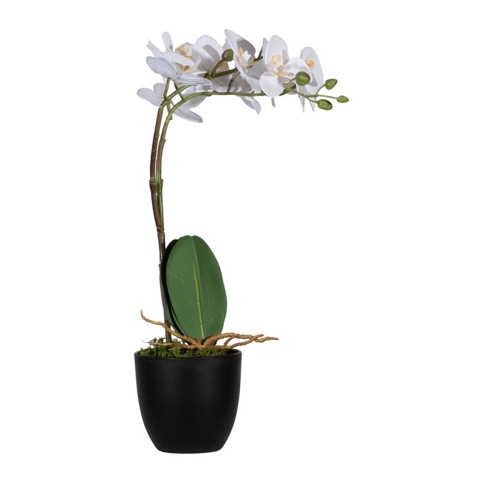 meet powered by PAPERFLOW ORCHIDEE Kunstpflanze 40,0 cm
