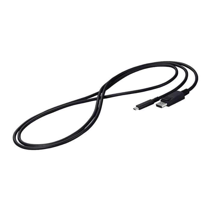 Eizo Kabel USB-C -> DisplayPort Signal Kabel 2m black
