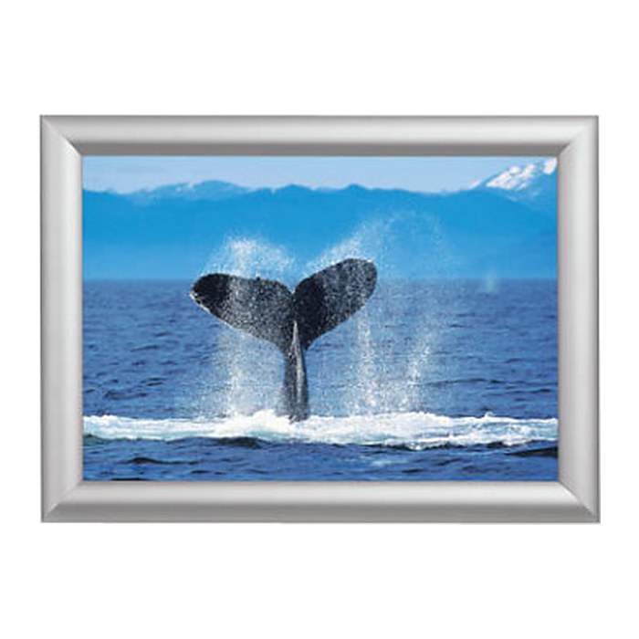 Showdown® Displays  Klapprahmen silber 62,5 x 87,2 cm, 1 St.