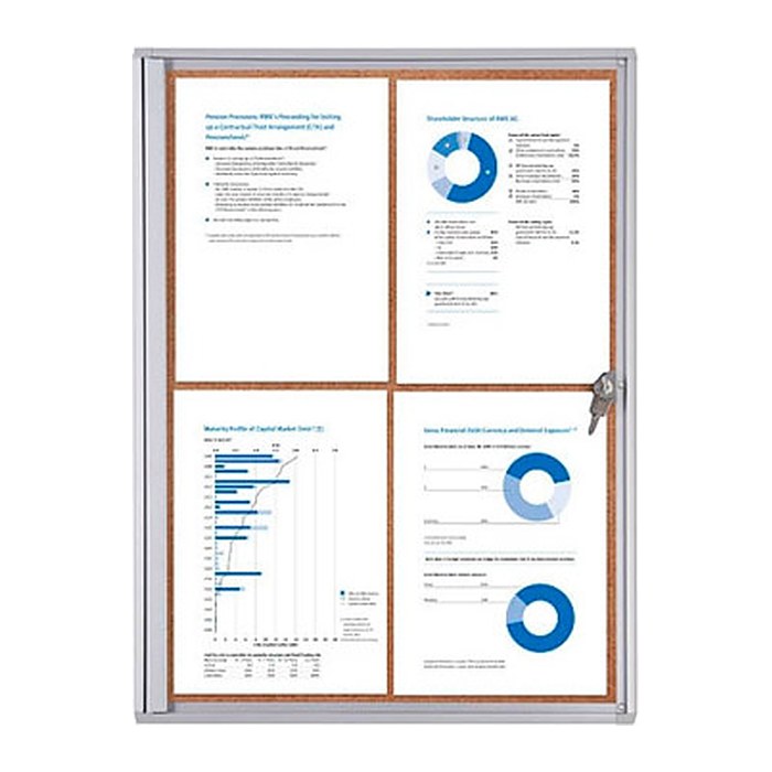 Showdown® Displays Schaukasten Economy XS Kork silber 4x DIN A4 49,1 x 2,6 x 65,5 cm, 1 St.