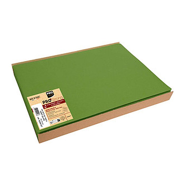 PROnappe Platzsets grün 30,0 x 40,0 cm, 100 St.