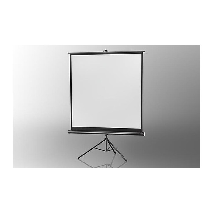 celexon Stativleinwand Economy 1:1, 244 x 244 cm Projektionsfläche