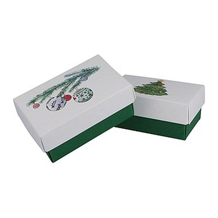 BUNTBOX Weihnachten L Geschenkboxen-Set weiß, 2 St.