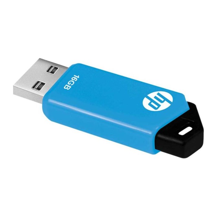 HP USB-Stick v212w schwarz 16 GB, 1 St.