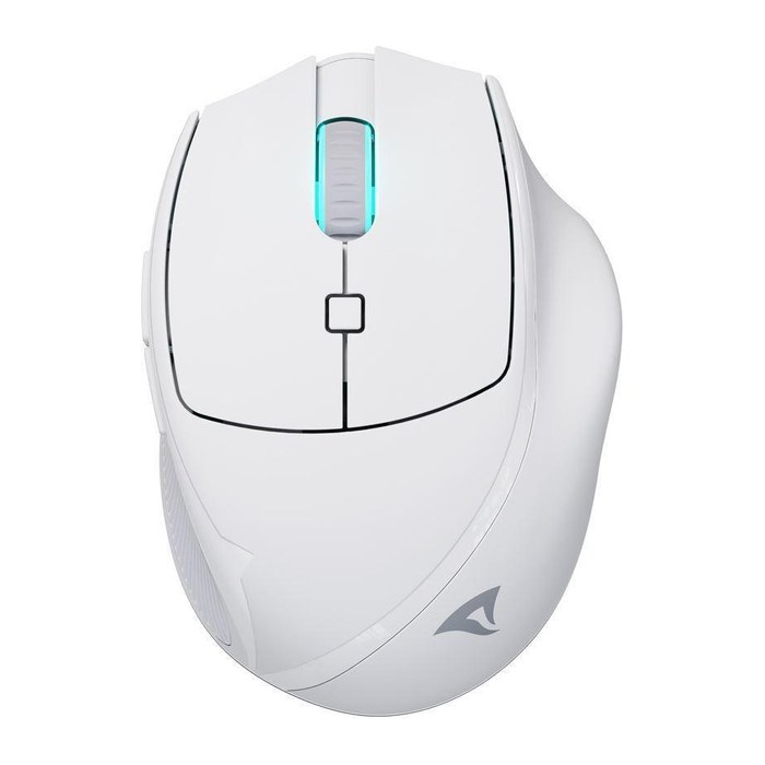 Sharkoon Maus OfficePal M25W Optisch 6 Tasten 4.000 DPI weiß