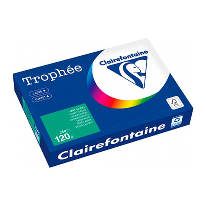 Clairefontaine Kopierpapier Trophée tannengrün DIN A4 120 g/qm 250 Blatt