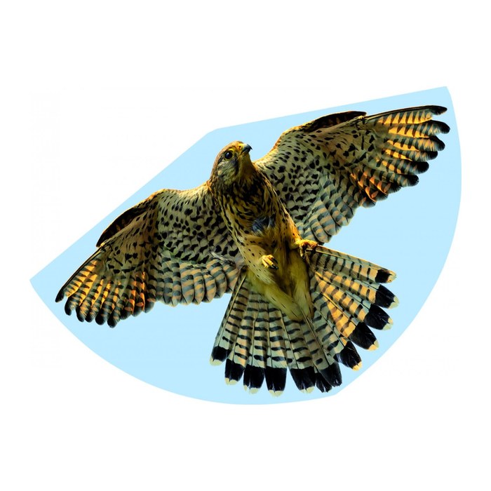 Günther® Flugdrachen Falke mehrfarbig, 1 St.