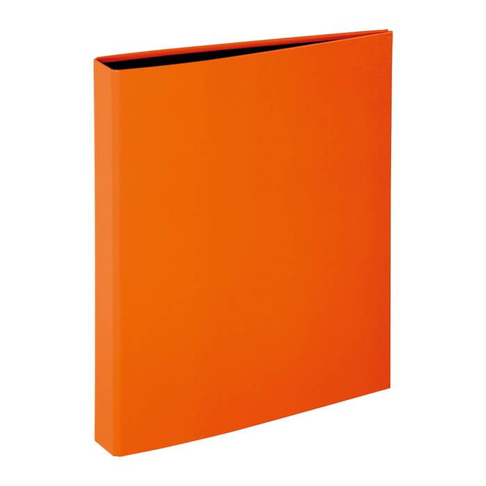PAGNA Trend Ringbuch 2-Ringe orange DIN A4, 1 St.