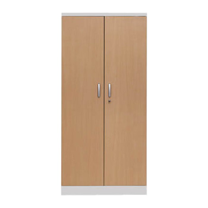 Gürkan Stahlschrank 100107 lichtgrau, buche 4 Fachböden 92,0 x 42,0 x 195,0 cm, aufgebaut, 1 St.