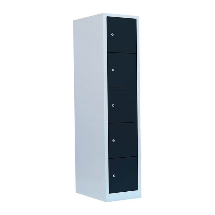 LÜLLMANN Schließfachschrank anthrazit, lichtgrau 523518, 5 Schließfächer 41,5 x 50,0 x 180,0 cm