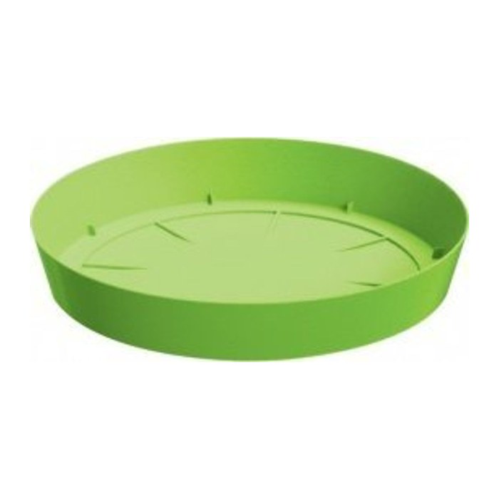 Zeller Untersetzer transparent 10,0 x 10,0 cm 4-tlg., 4 St.
