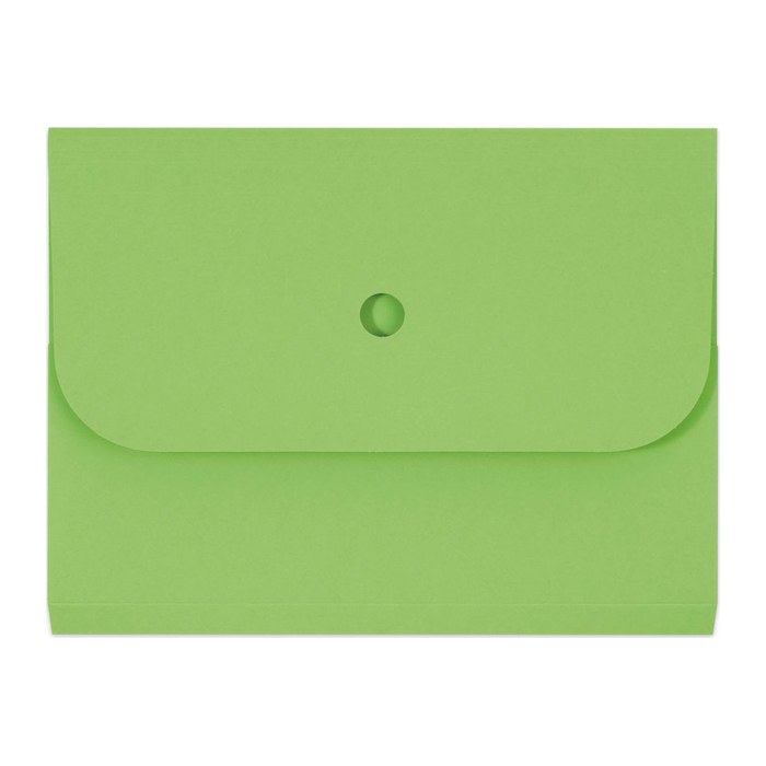 ELCO Sammelmappen Ordo forte 0,3 cm grün, 25 St.