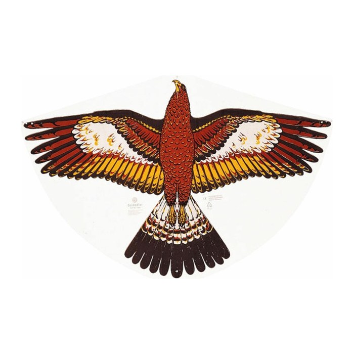 Günther® Flugdrachen Goldadler mehrfarbig, 1 St.