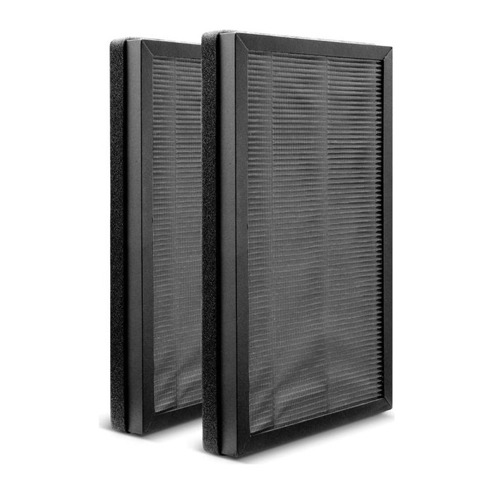 KÄRCHER AF 20 Filter für Luftreiniger, 2 St.