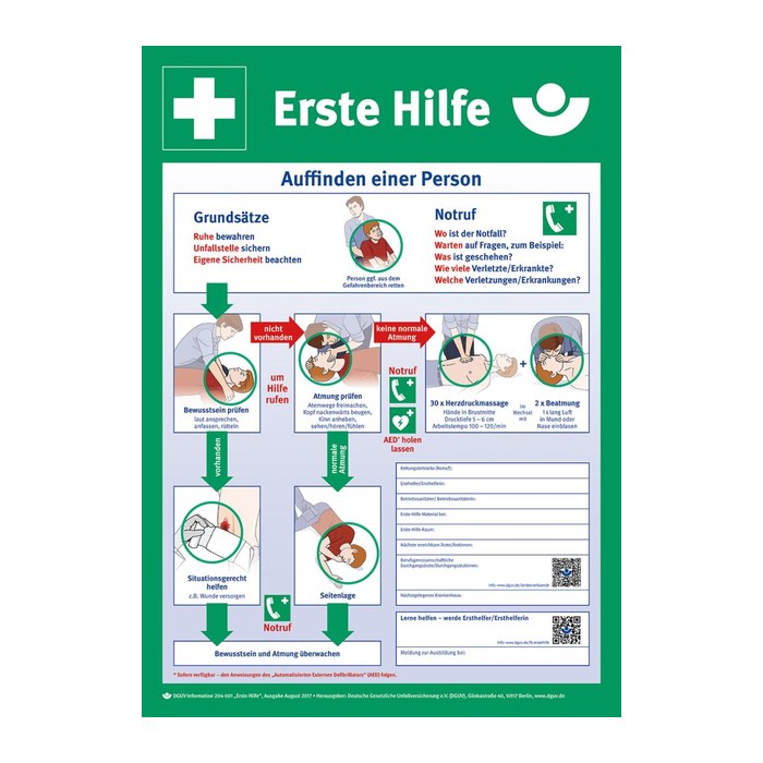 SafetyMarking® Rettungszeichen "Anleitung zur Ersten Hilfe" rechteckig 40,0 x 56,0 cm, 1 St.