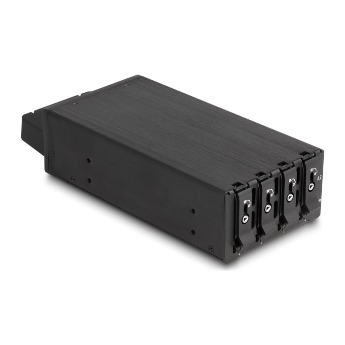DELOCK Slim Bay Wechselrahmen für 4 x M.2 NVMe SSD SFF-8654